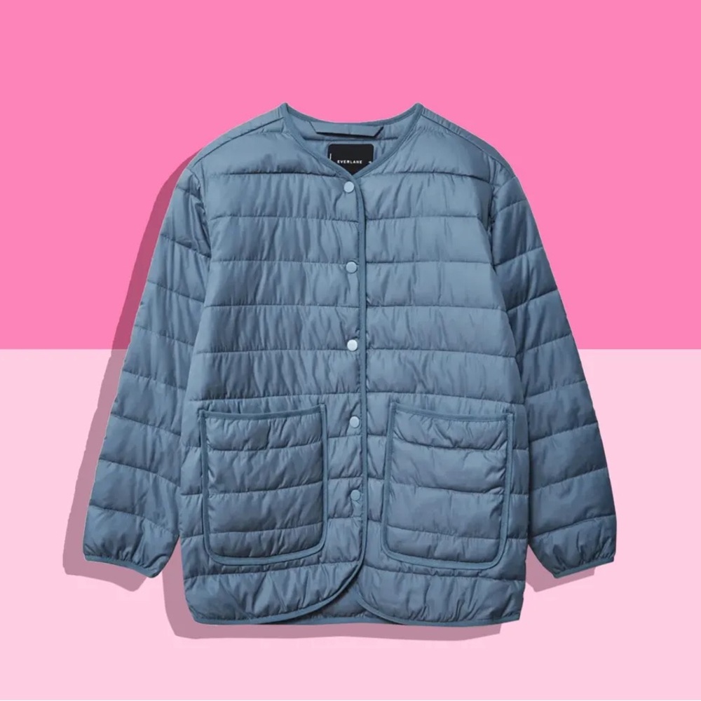 Everlane renew down liner